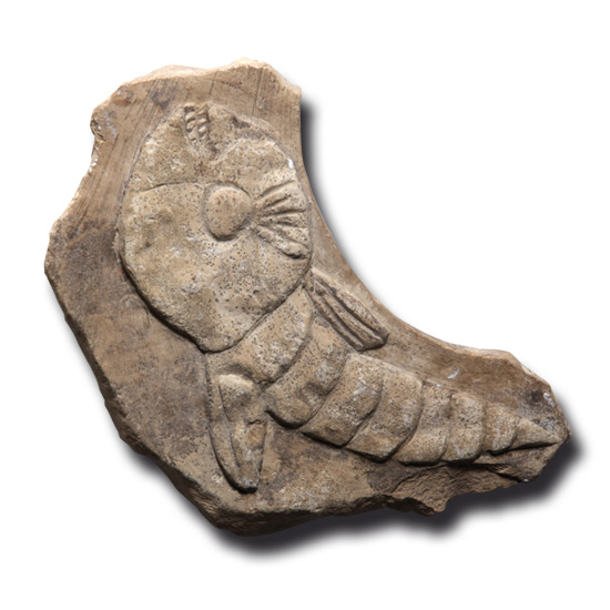 Fisch